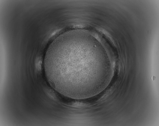 X0000087320596200704201112