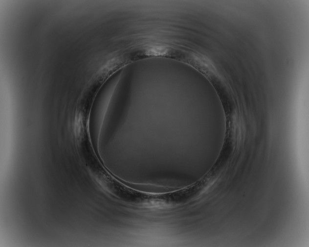X0000087320598200704201111