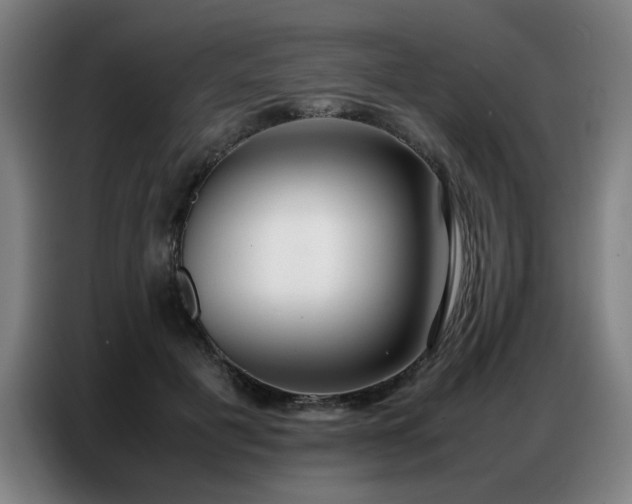 X0000087320601200704201111