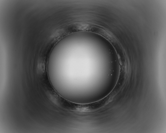 X0000087320602200704201111