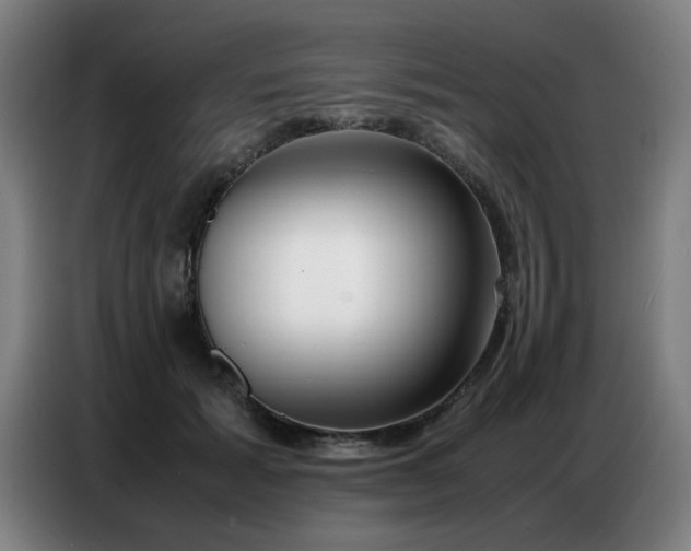X0000087320605200704201111