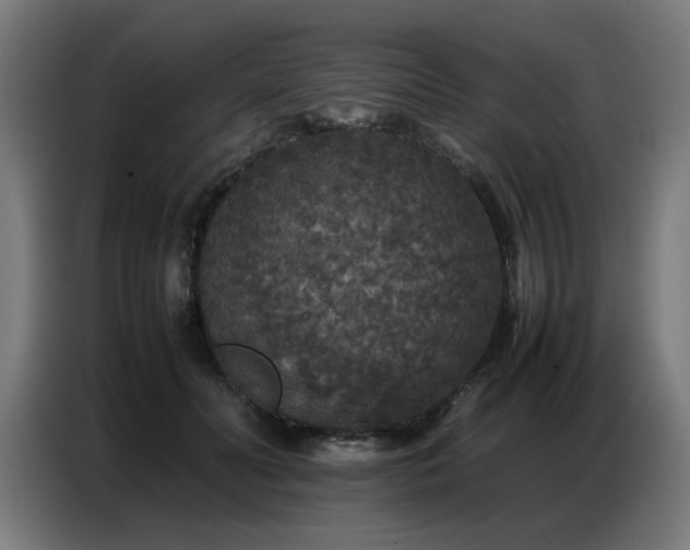 X0000087320606200704201111