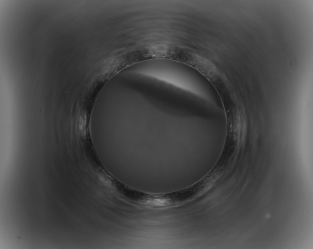 X0000087320610200704201111