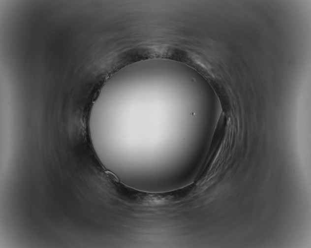 X0000087320613200704201111