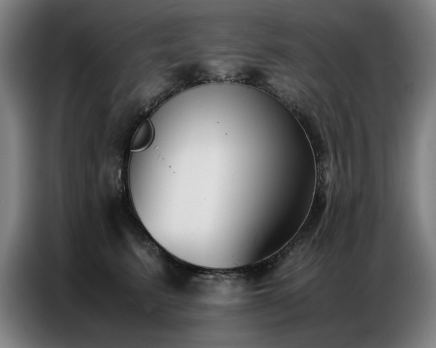 X0000087320615200704201111