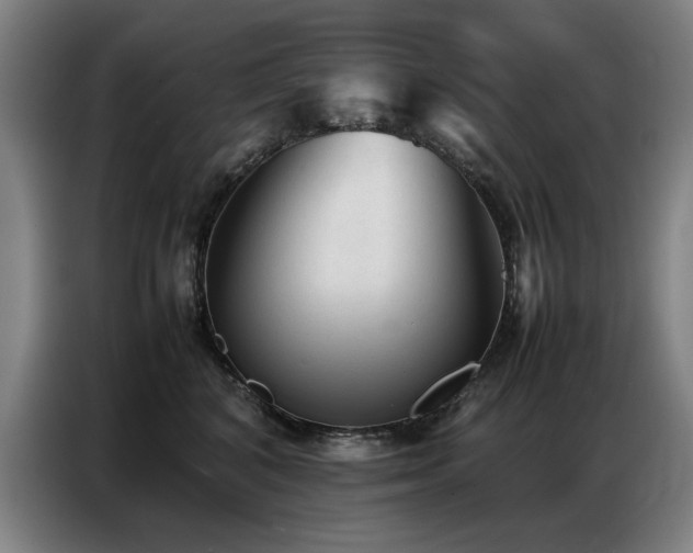 X0000087320616200704201111