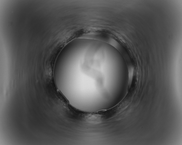 X0000087320617200704201111