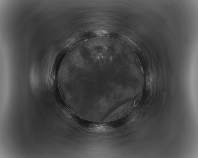 X0000087320618200704201111