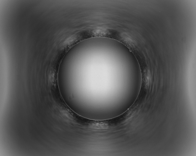 X0000087320619200704201111