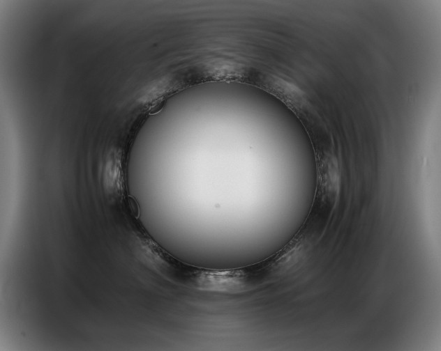 X0000087320622200704201111
