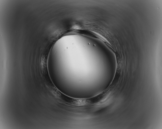 X0000087320623200704201111