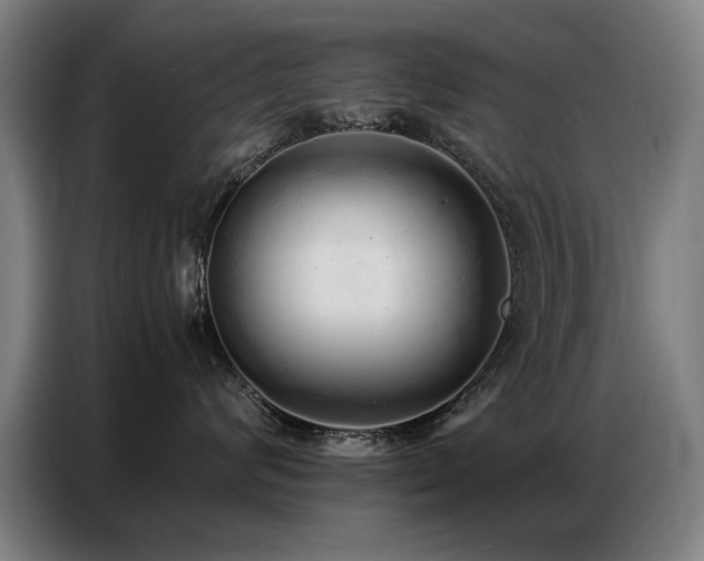 X0000087320624200704201111