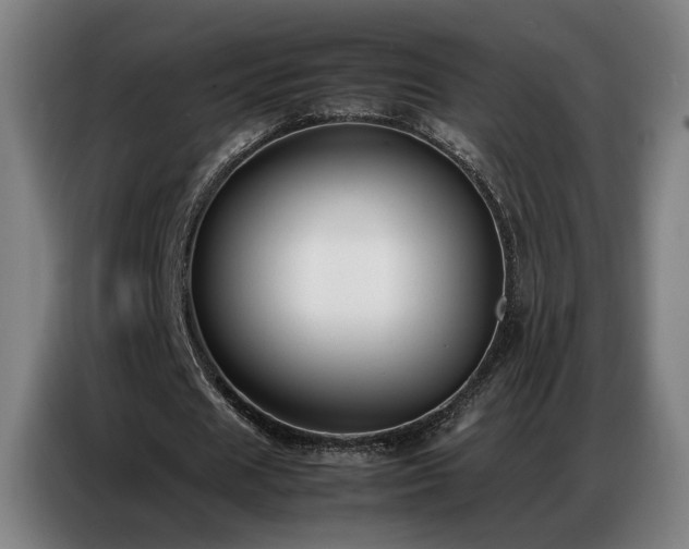 X0000087320625200704201111