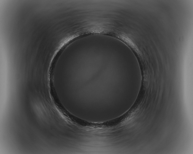 X0000087320626200704201111