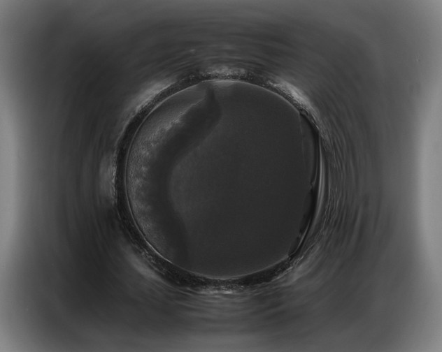 X0000087320627200704201111