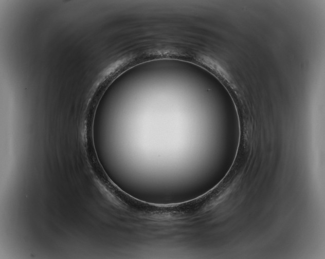 X0000087320629200704201111