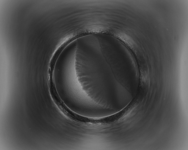 X0000087320630200704201111