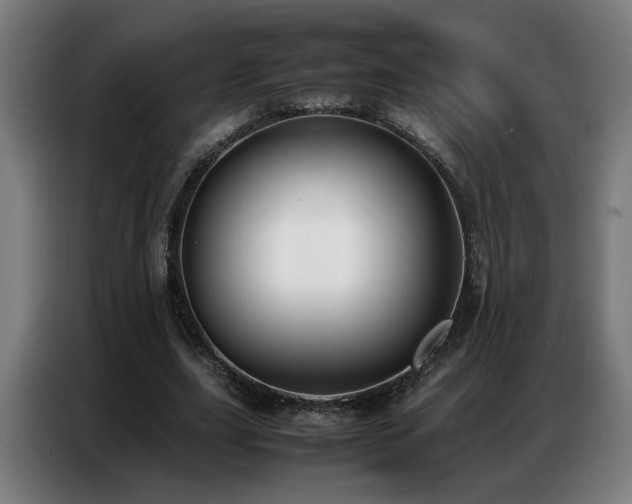 X0000087320631200704201111