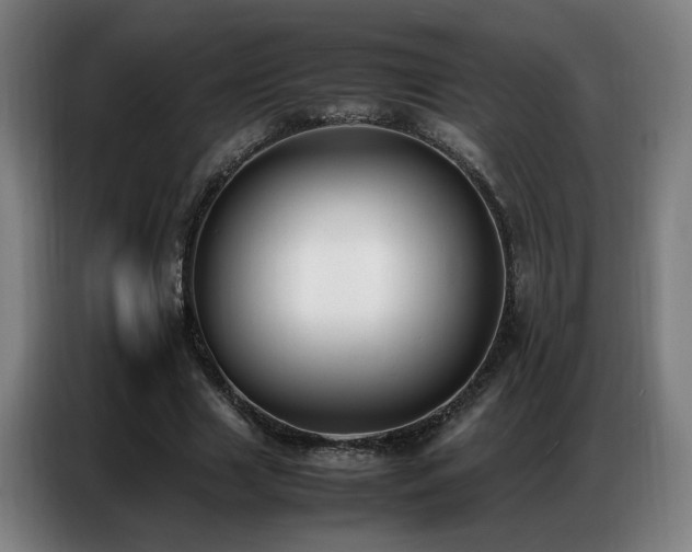 X0000087320633200704201111