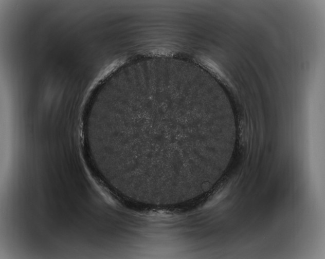 X0000087320634200704201111