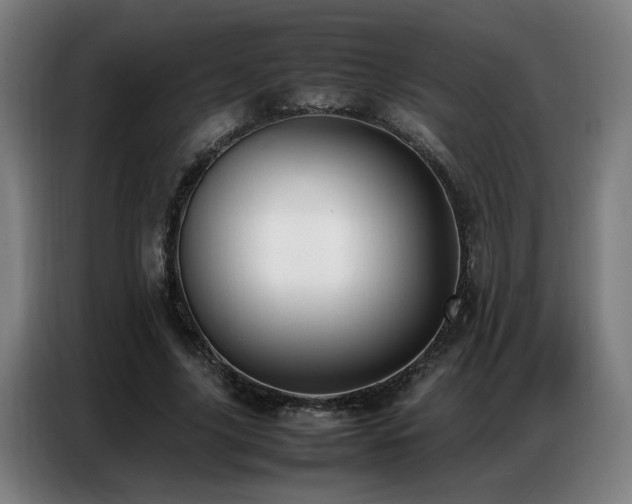 X0000087320635200704201111
