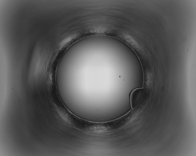 X0000087320636200704201111