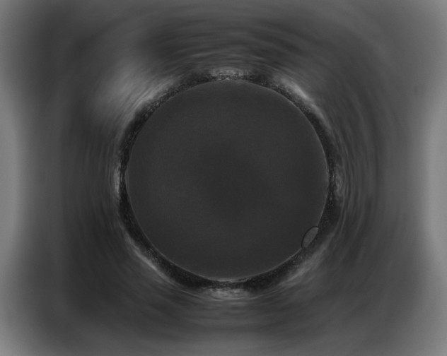 X0000087320637200704201111