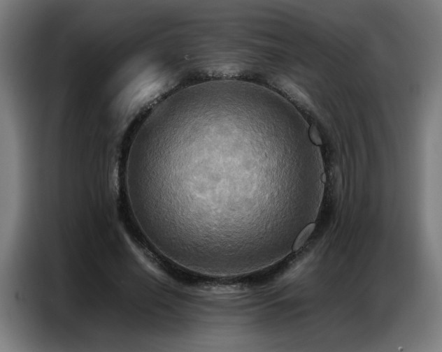 X0000087320638200704201111