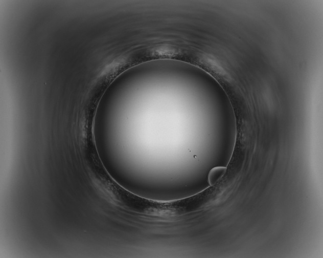 X0000087320639200704201111