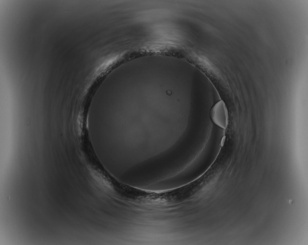 X0000087320640200704201111