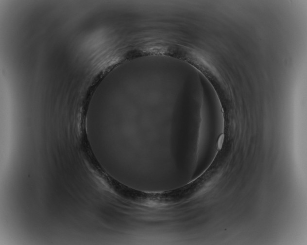 X0000087320641200704201111