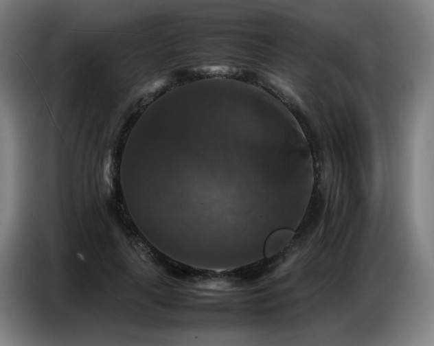 X0000087320643200704201111