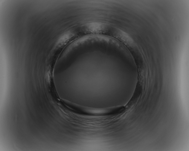 X0000087320644200704201111