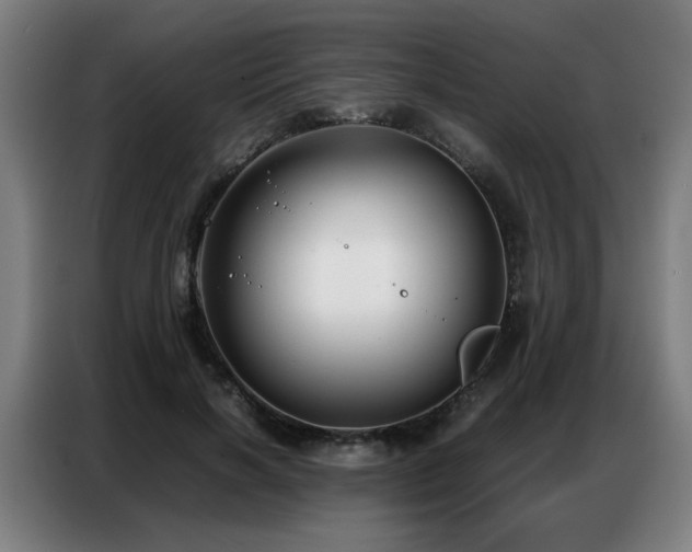 X0000087320646200704201111