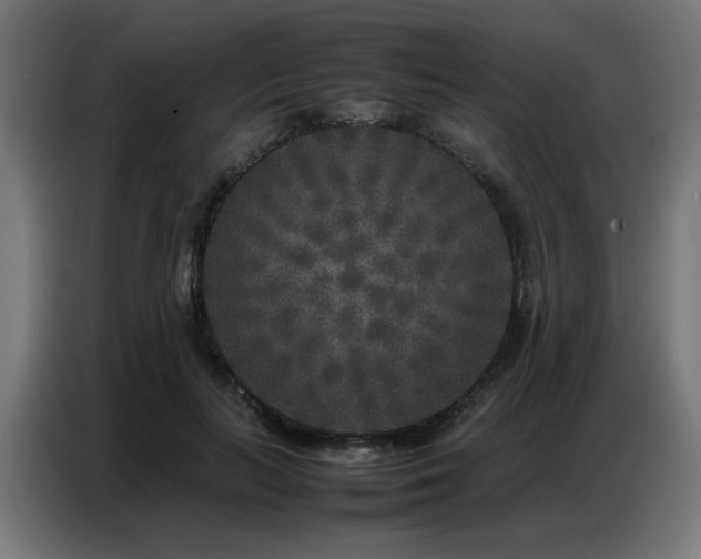 X0000087320647200704201111