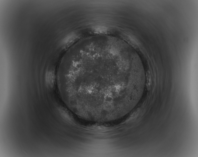 X0000087320648200704201111