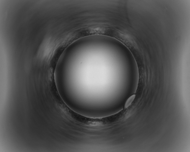 X0000087320649200704201111