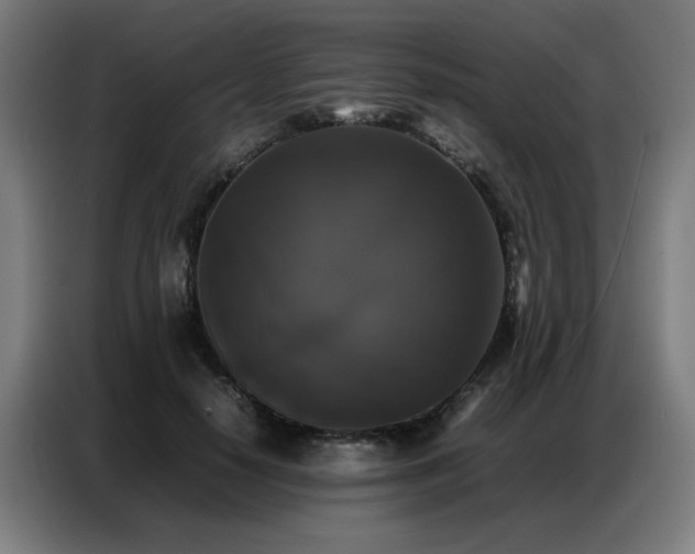 X0000087320650200704201111
