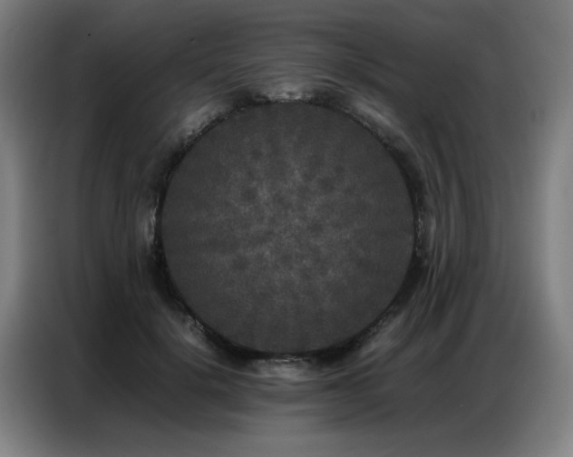 X0000087320652200704201111