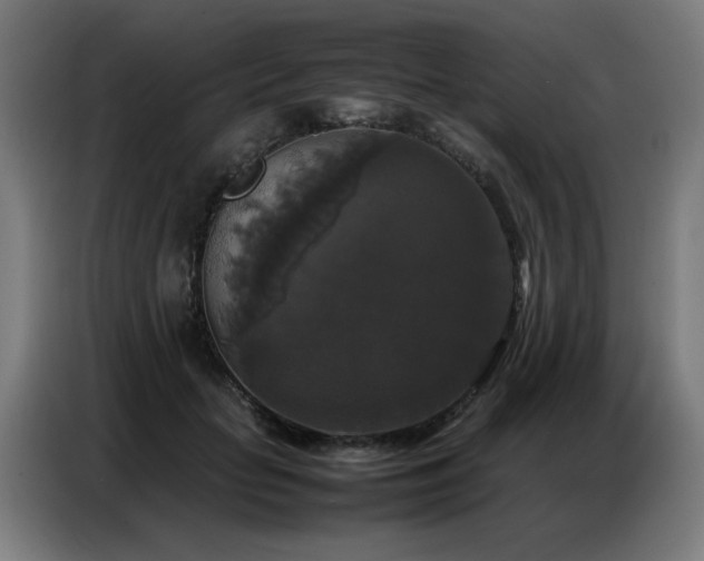 X0000087320653200704201111