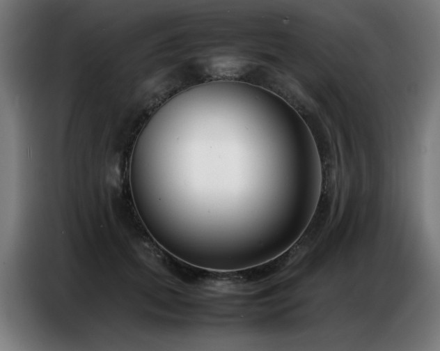 X0000087320655200704201111