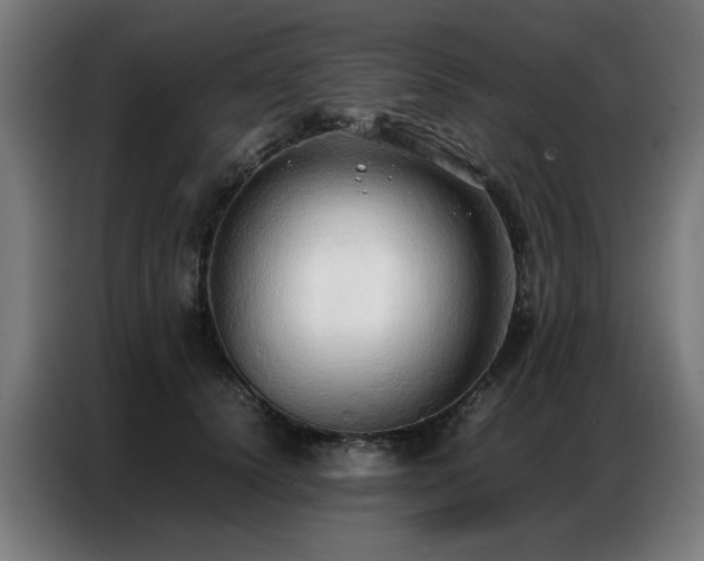 X0000087320656200704201111