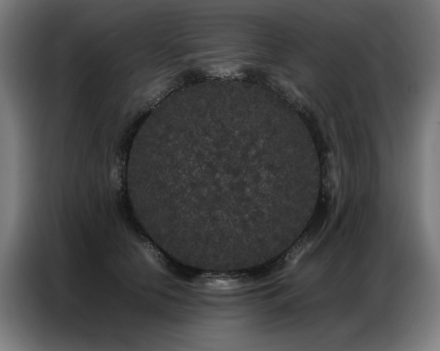 X0000087320658200704201111