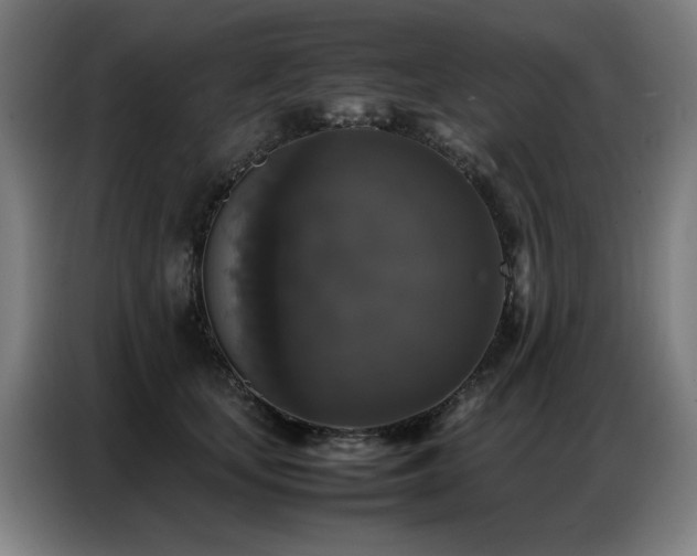 X0000087320659200704201111