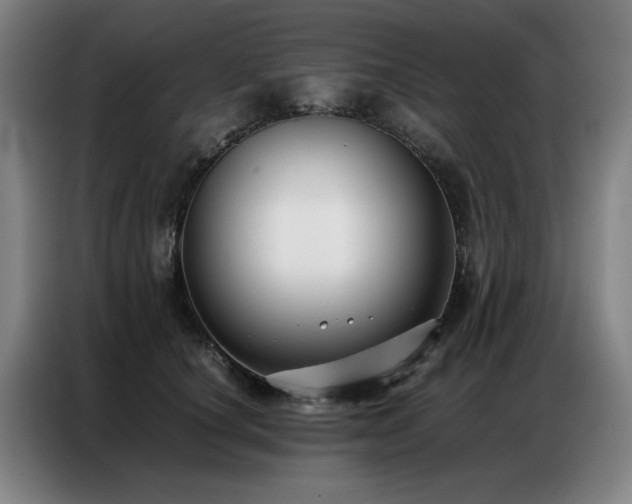 X0000087320660200704201111