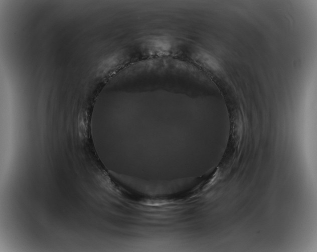 X0000087320661200704201111