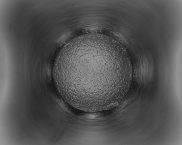 X0000087320662200704201111