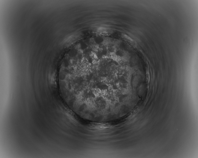 X0000087320663200704201111