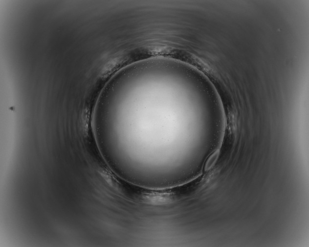 X0000087320664200704201111