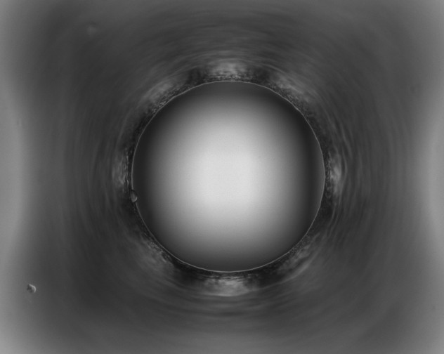 X0000087320665200704201111